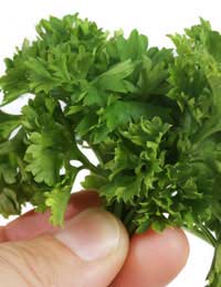 Italian Cooking Parsley Sage Herbs