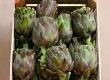 Artichokes in Italian Cooking